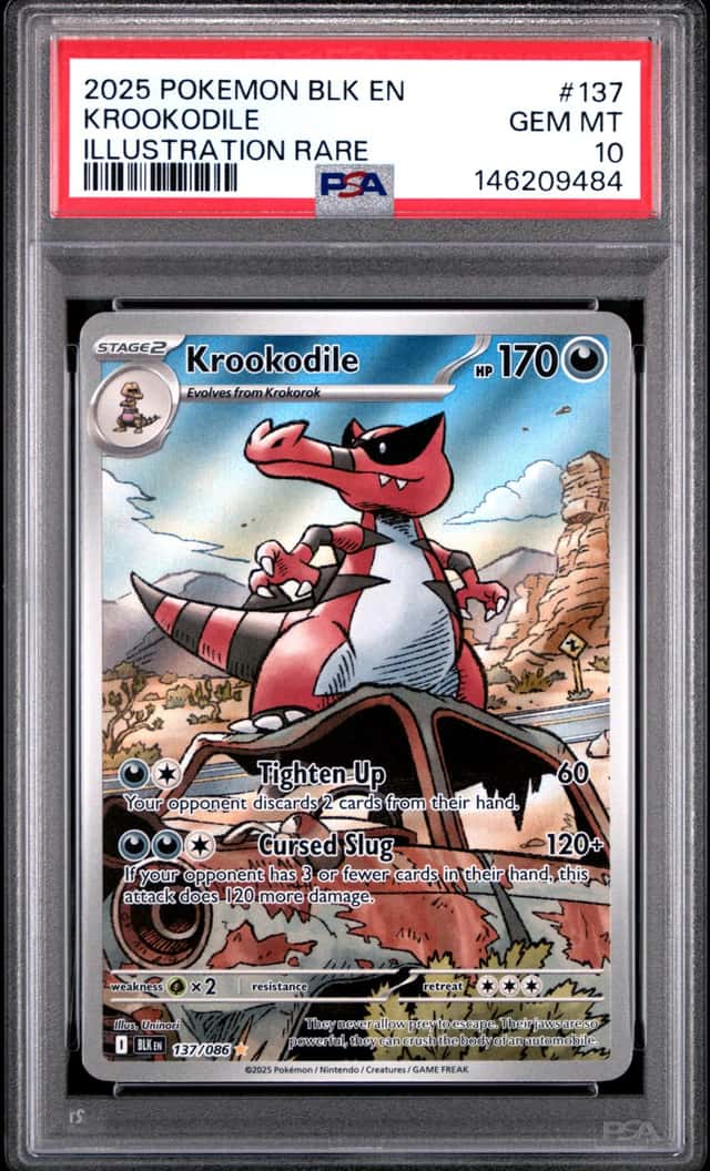 Krookodile