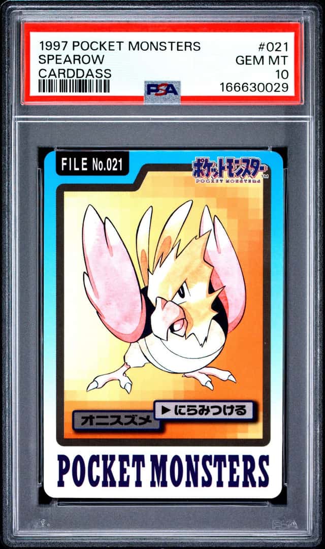 Spearow