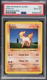 Ponyta