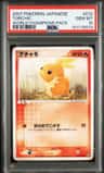 Torchic