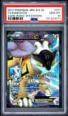 Raikou Ex