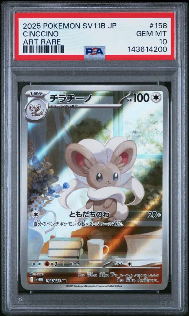 Cinccino