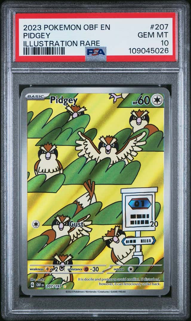 Pidgey