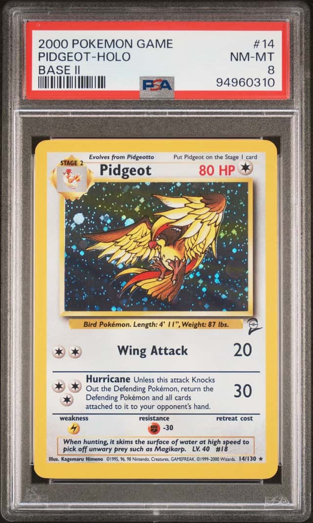 Pidgeot