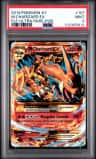M Charizard Ex
