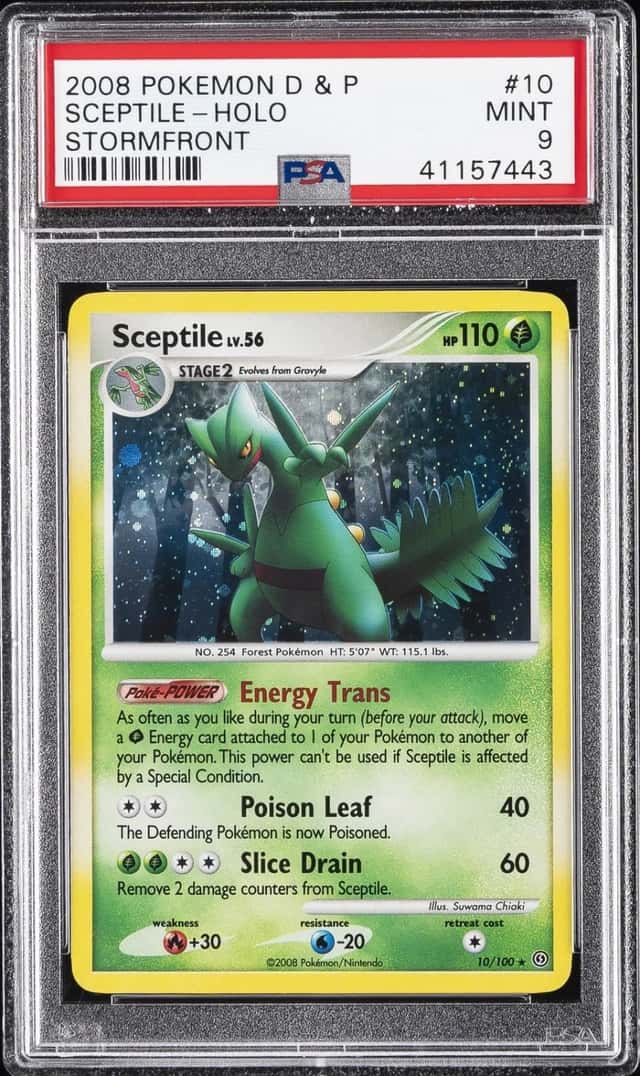 Sceptile