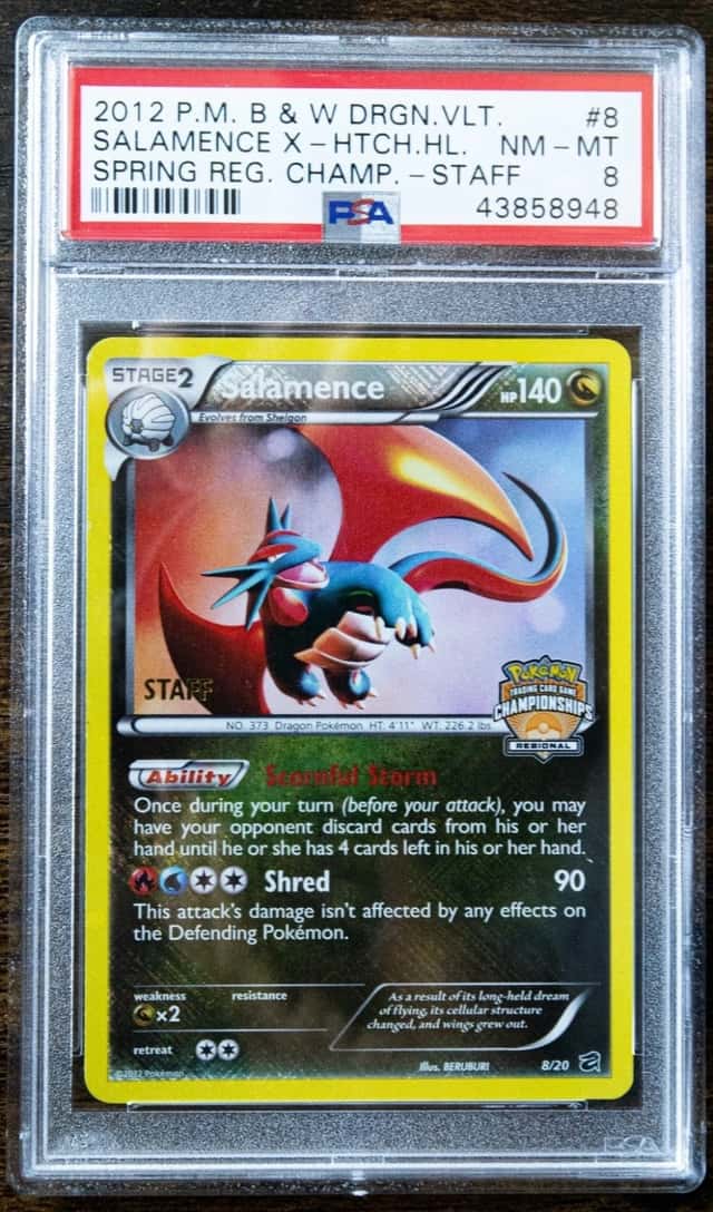 Salamence