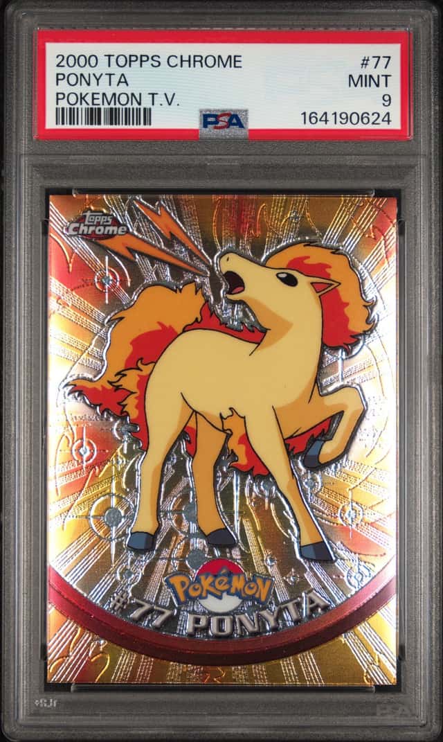 Ponyta