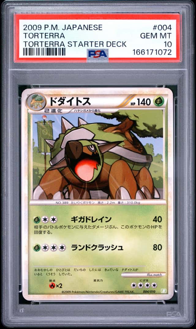 Torterra