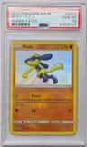Riolu