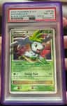 Shaymin Lv.x/(2009 Spring Collector'S Tins) P