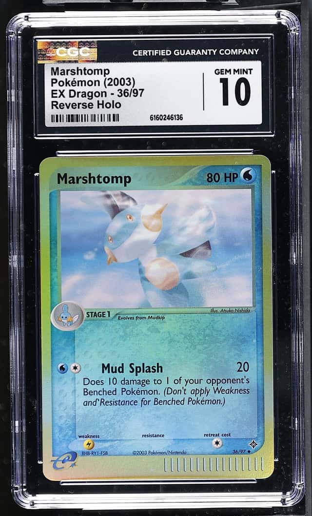 Marshtomp