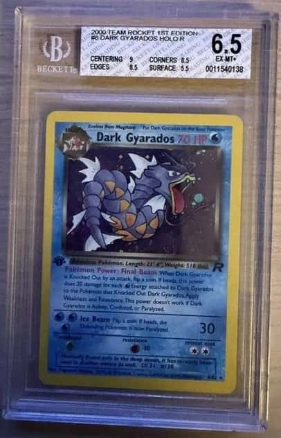 Dark Gyarados