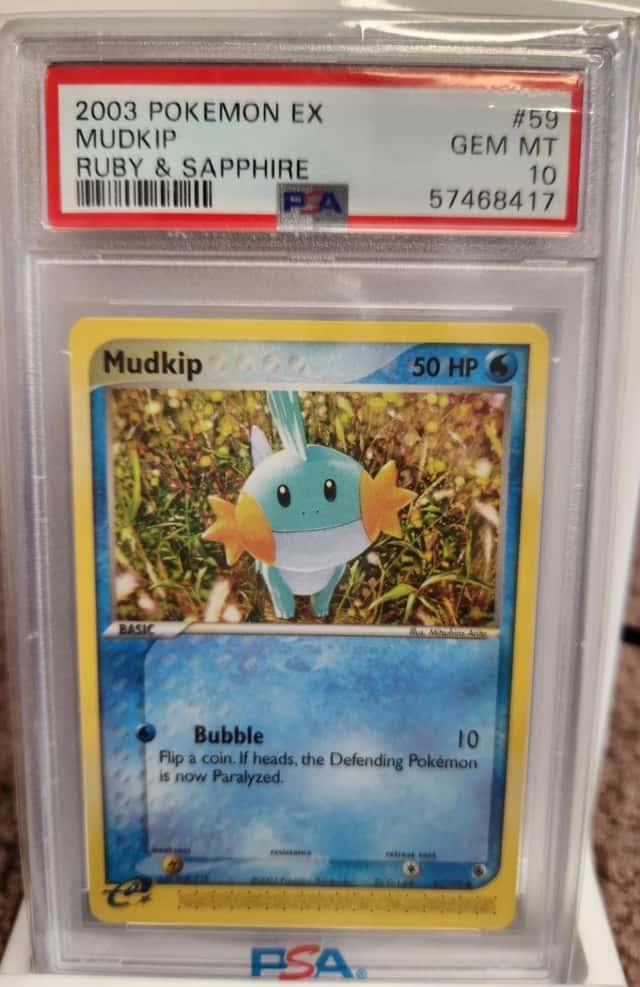 Mudkip