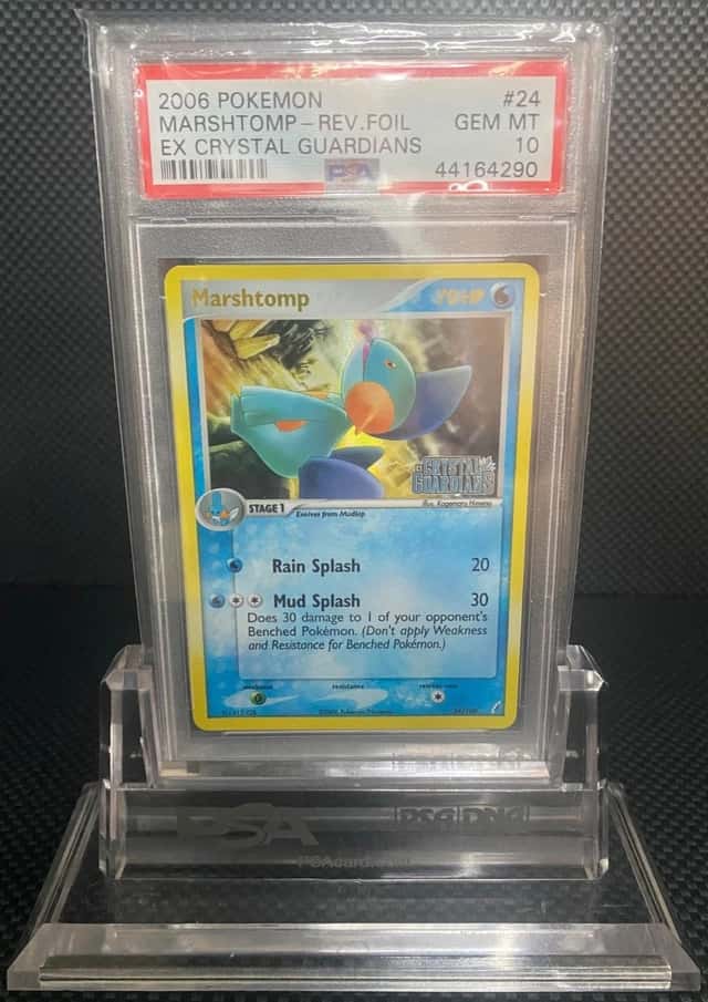 Marshtomp