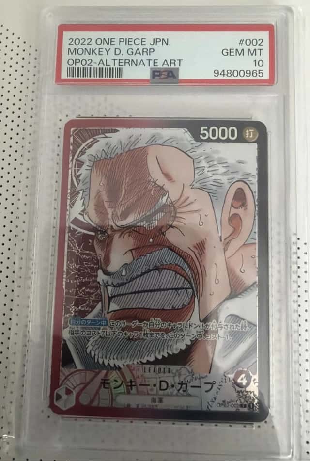 Monkey D. Garp