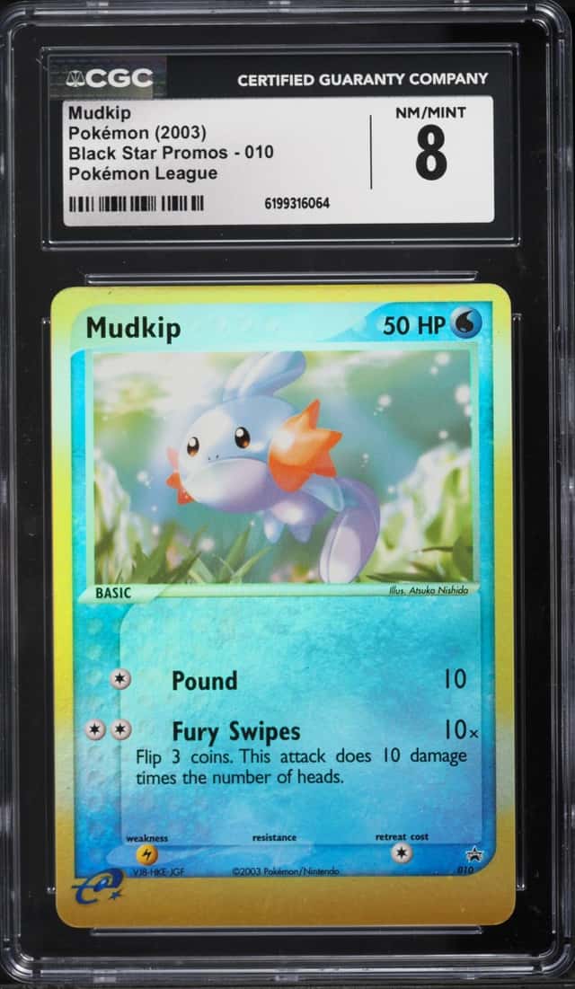 Mudkip