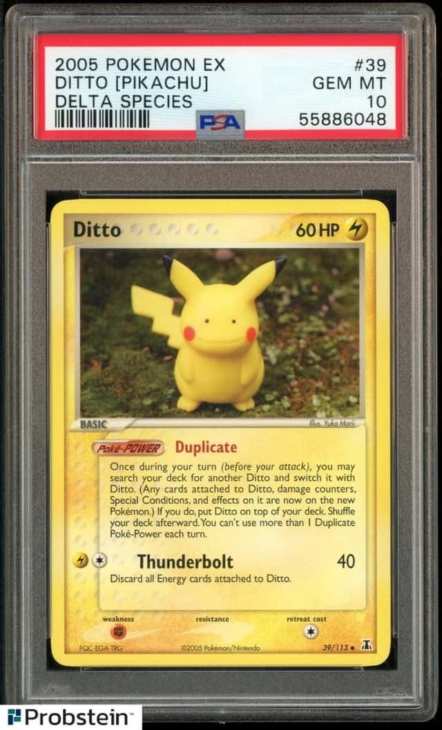 Ditto