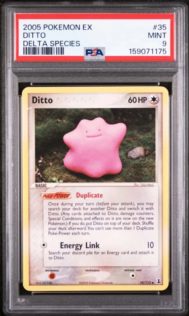 Ditto