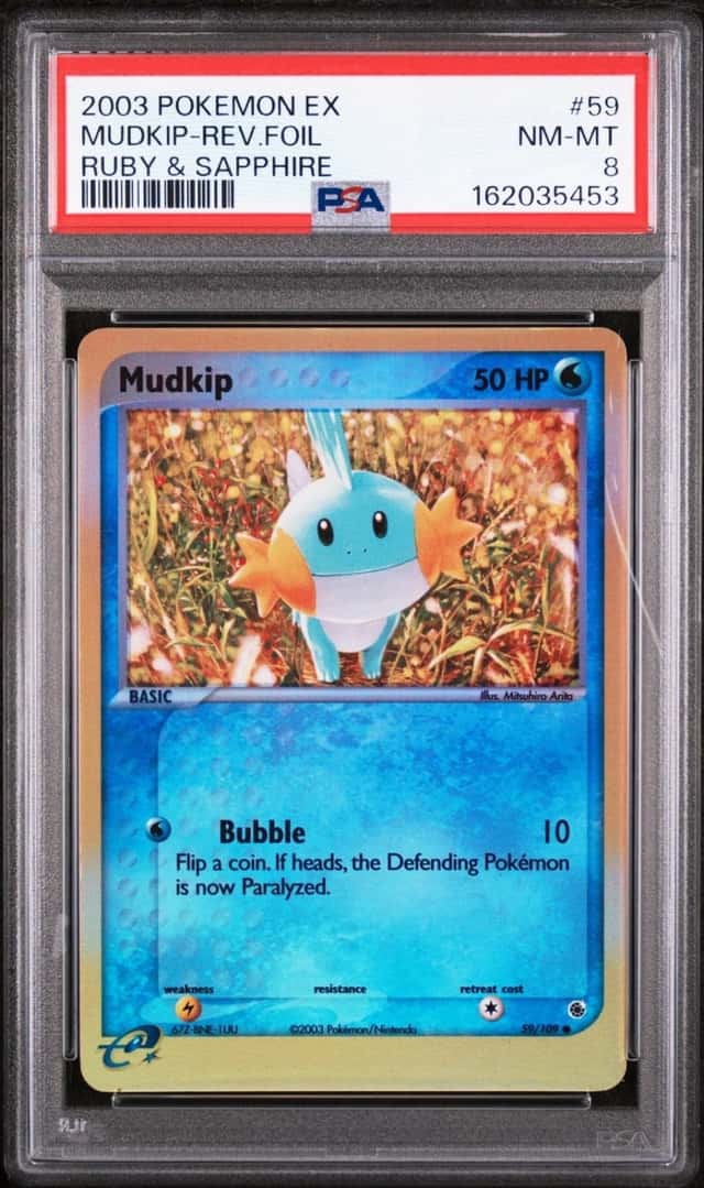 Mudkip