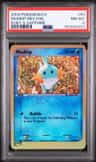 Mudkip
