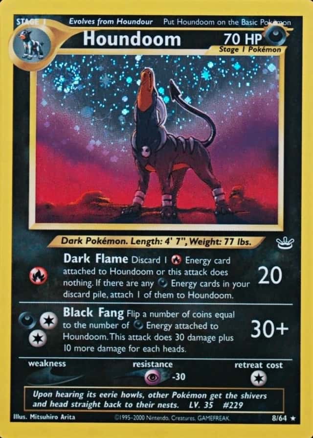 Holo
