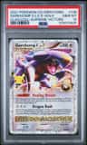 Garchomp C Lv X