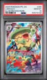 Ludicolo