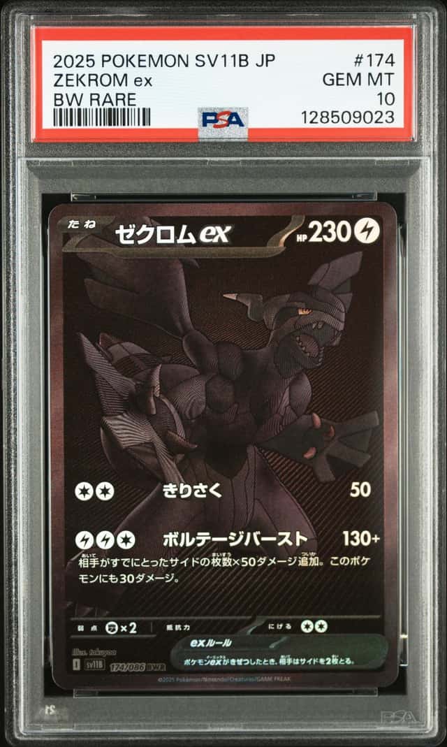 ZEKROM ex
