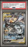 Pikachu & Zekrom Gx