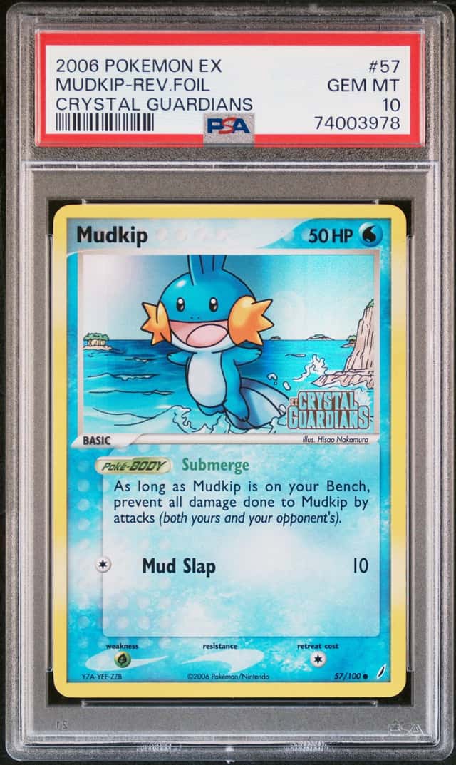 Mudkip