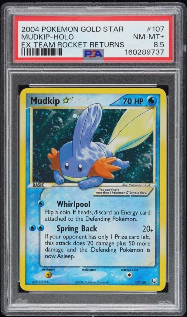 Mudkip