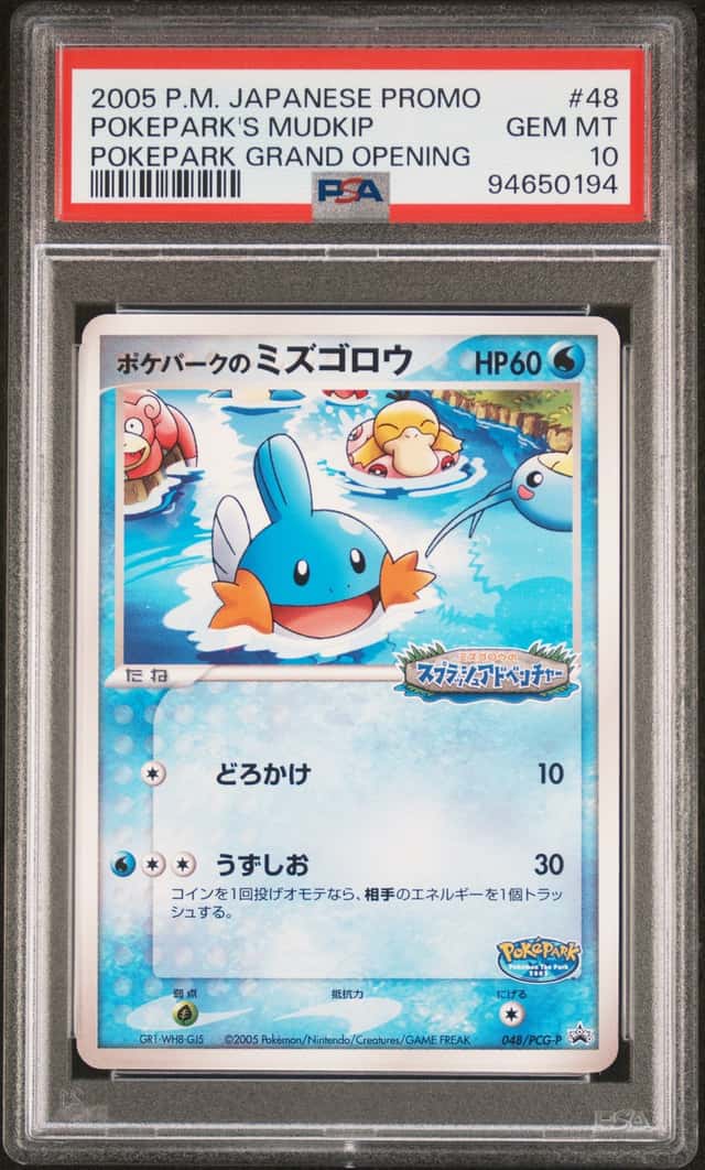 Pokepark's Mudkip
