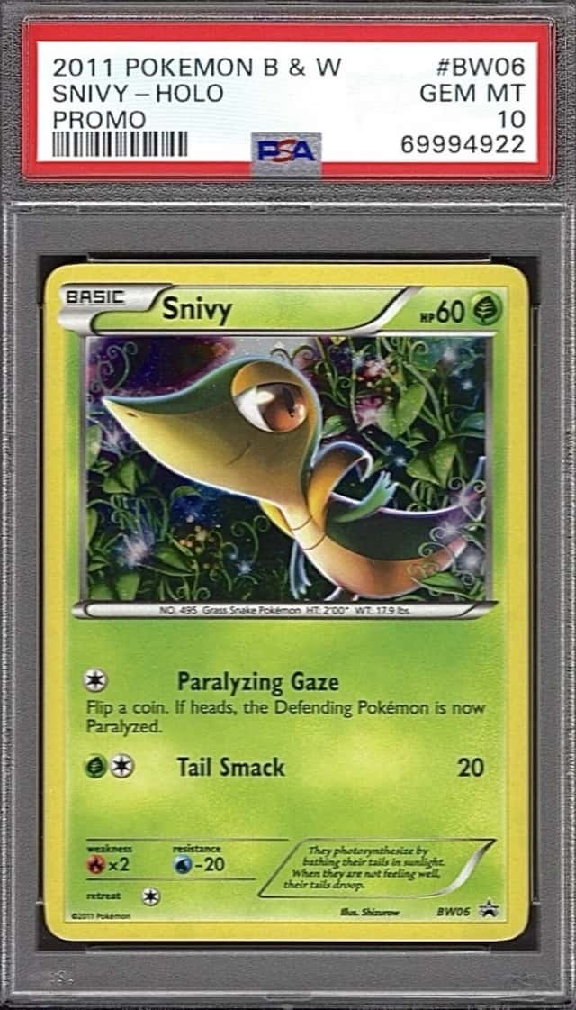 Snivy