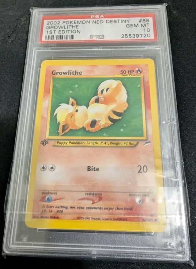 Growlithe