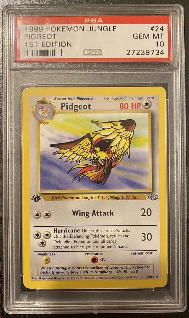 Pidgeot