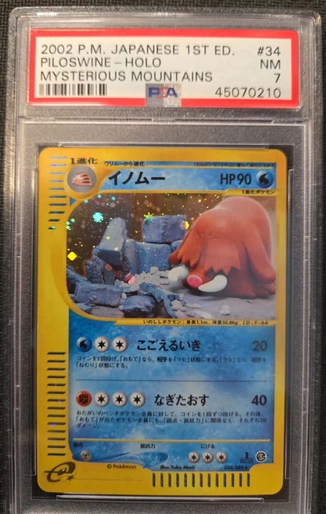 Piloswine