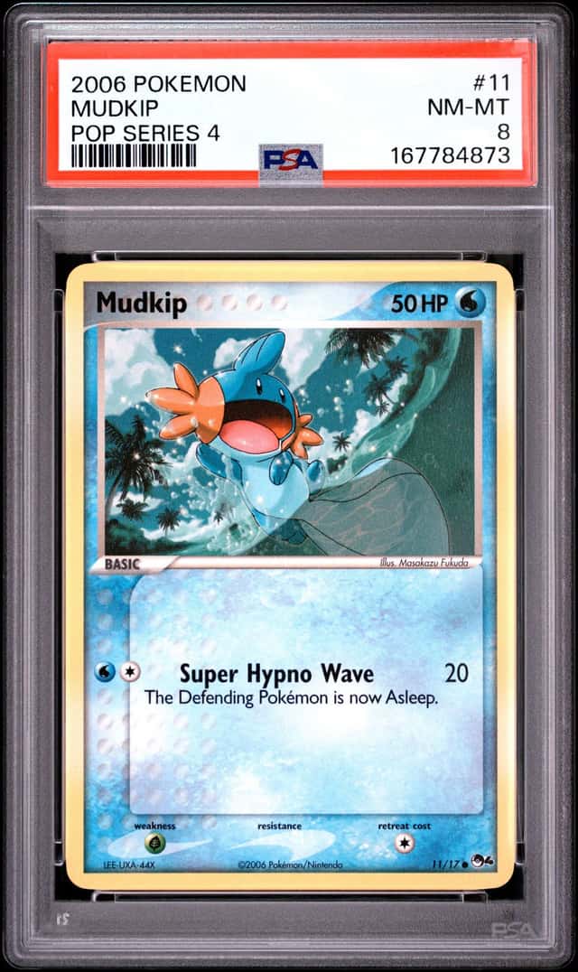 Mudkip