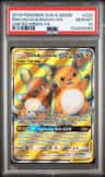 Raichu & Alolan Raichu Gx