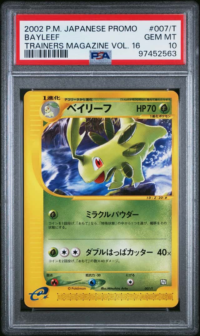 Bayleef