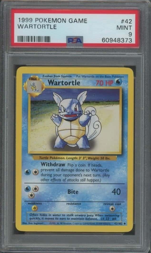 Wartortle