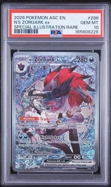 N'S ZOROARK ex