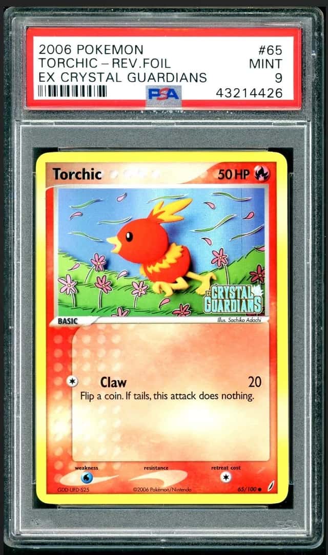 Torchic