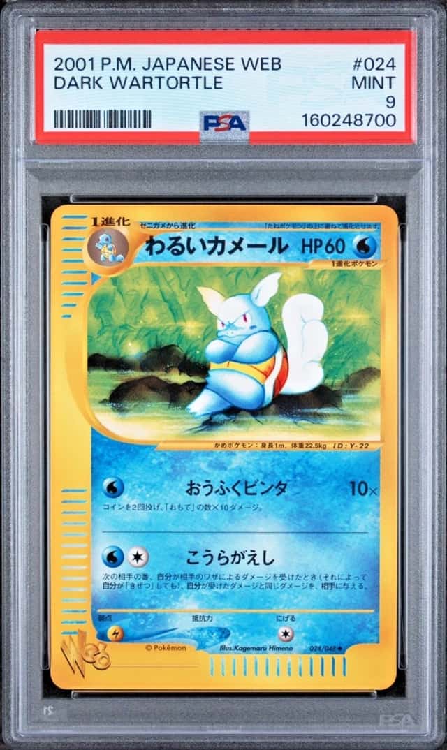 Dark Wartortle