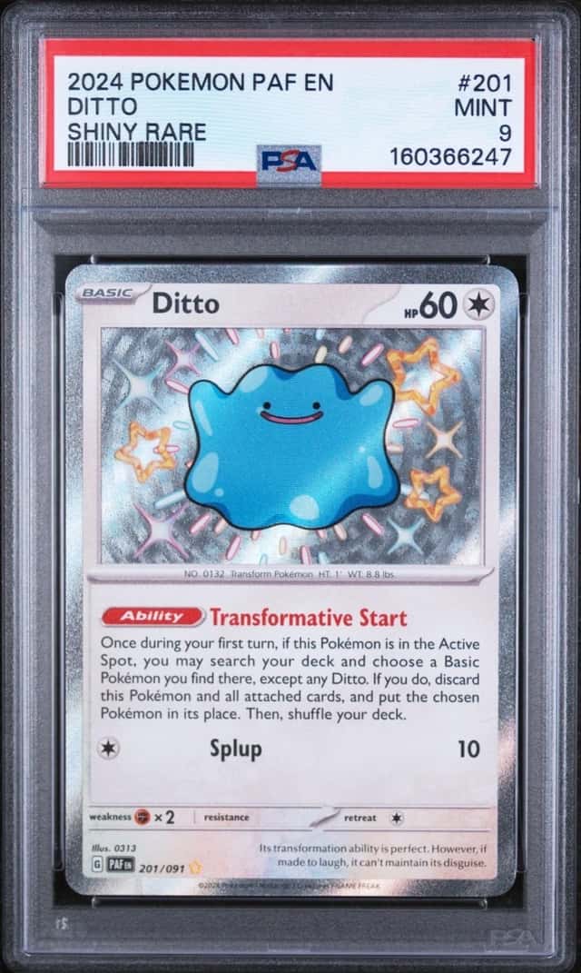 Ditto