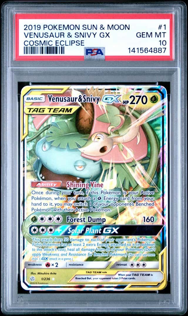 Venusaur & Snivy GX