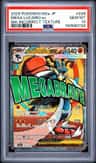Mega Lucario Ex