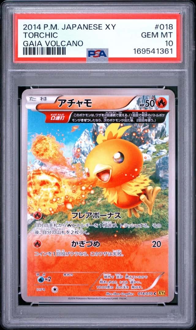 Torchic