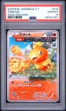 Torchic
