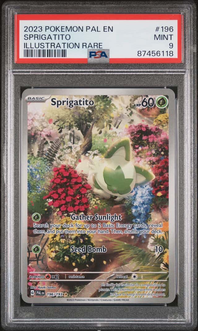 Sprigatito